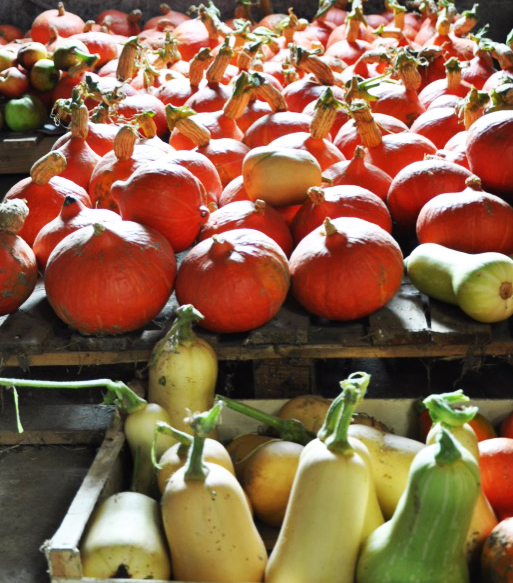 courges